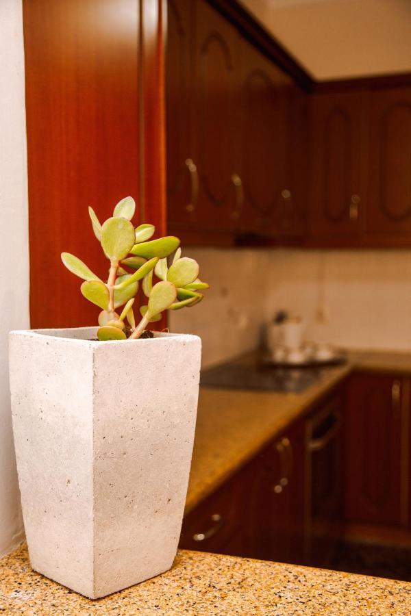 Oasis Apartment